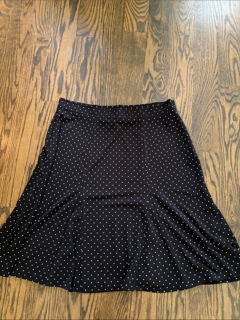 NWOT Talbots Polka Dot A-Line Skirt Sz MP